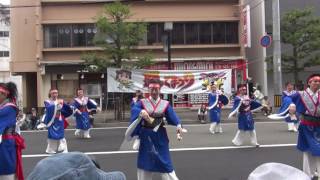 2017加古川踊っこまつり（東加古川）　チームいぶき