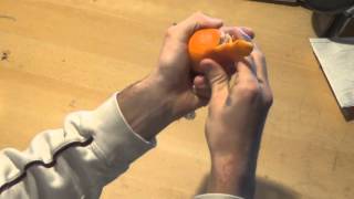 How to Peel a Tangerine PROPERLY! YOU'VE BEEN DOING IT WRONG!