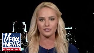 Lahren: Democrats still not catering to to Middle America
