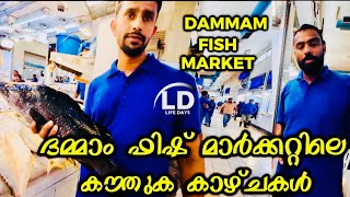 നോർവായിലെ ഫിഷ് |ദമ്മാം ഫിഷ് മാർക്കറ്റ് Fish in Norway|Dammam fish market #fish #vlog #youtubevideos