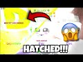 😱INFINITY GEM💎 *HATCHED* ON CAMERA!! Roblox Bubblegum Simulator!