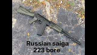 Best gun russion saiga 223 bore test fire