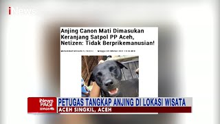 Viral Anjing Mati Setelah Dirazia Satpol PP, Pecinta Hewan: Penangkapan Disiksa! #iNewsPagi 25/10