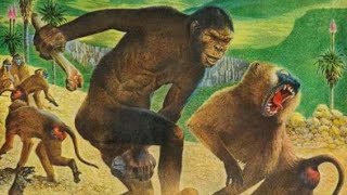 Have Chimps Entered the Stone Age?
