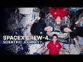 NASA's SpaceX Crew-4: A Scientific Journey