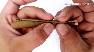 Como rolar un blunt orgánico - how to roll an  organic blunt