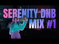 Relaxing Liquid DnB Mix for Focus & Flow | Serenity #1 | LiquidHour DnB