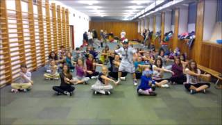 Harlem Shake X-Dance Jablonec - Junioři