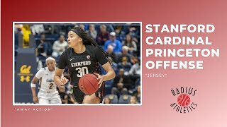 Stanford Cardinal - Princeton Offense - 