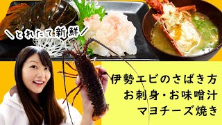 伊勢エビのさばき方〜お刺身・お味噌汁・マヨチーズ焼き～