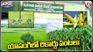 Telangana Has Scaled a New Record in The Cultivation of Rabi | Yasangi Crops | V6 Teenmaar