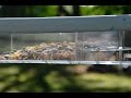 New! Large Window Feeder