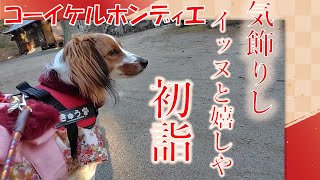 【初詣】境内耐えた 帰りにう〇ち【コーイケルホンディエ】