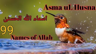 Asma-ul-Husna || 99 Names of Allah || Allah ke 99 Naam || اسما الحسنیٰ