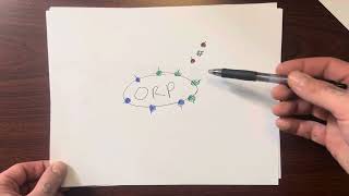 Conducting an Ambush: tactics simplified part 5