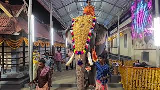 Night Panchavadyam \u0026 Kandithulapandhal procession @ Vadakkanthara valia vela 2021