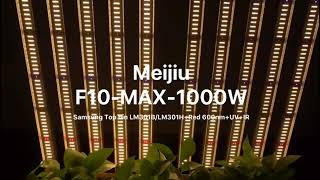 Meijiu F10 MAX 1000W 10 Bars Foldable Design LED Grow Light- Best for Cannabis Commercial Growing