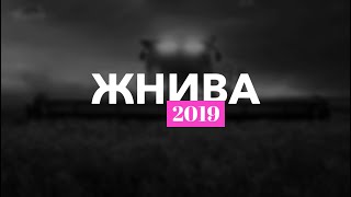 Жнива 2019