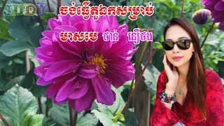 ចង់ធ្វើតួឯកសម្រាប់មាសមេ  ថាន់ នឿថង