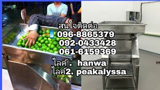 เครื่องคั้นน้ำส้ม เครื่องคั้นน้ำมะนาว 2ใบมีด