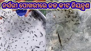 ମାଛ ଯାଂଳ ପୋଖରୀରେ ଜଳ କୀଟ ଓ ତାର ନିୟନ୍ତ୍ରଣ | Aquatic Insects \u0026 Their Control In Nursery Pond