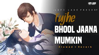 Tujhe Bhool Jaana Mumkin - Lofi ( Slowed + Reverb ) | Himesh Reshammiya | LOFI LAKE
