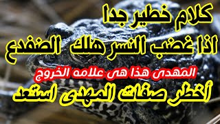 كلام خطير عن صفات المهدى رسال استعد ؟اذا غضب النسر هلك الضفدع علامه خروج المهدى