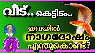 #vasthu pendulum #468m sivaraj smith നാഗ ദോഷം  എങ്ങിനെ പരിഹരിക്കാം..