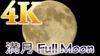 【4K】Full Moon 満月 【ウサギ】 #fullmoon #4K #満月