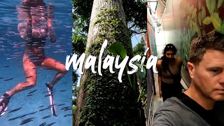 The Ultimate 2-Week Itinerary for Malaysian Borneo 🇲🇾