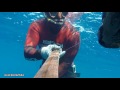 extreme spearfishing in mediterranean sea