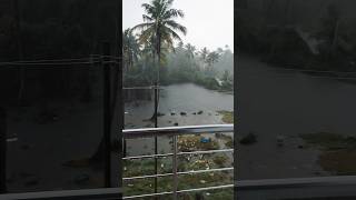 ഈ പൊരിഞ്ഞ ചൂടിൽ തണുത്ത മഴ ആയാലോ.. #viral #shortsvideo #trending #shortsfeed #youtubeshorts