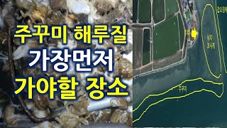 금어기 풀리면 제일 먼저 이곳으로 달려 가세요 - 주꾸미 해루질 포인트 [태영TV]