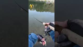 【AREA TROUT FISHING】 2024Part836