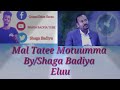 Mal Tatee Motuumma walaloo afaan Oromoo, By/Shaga Badiya