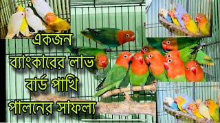 LoveBird Farm in Bangladesh | খুলনার সবচেয়ে বড় লাভবার্ড পাখির খামার | Lovebird Price In BD #birds