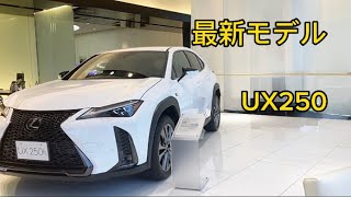 【レクサス太田店】レクサスUX250がカッコ良すぎた！LEXUS UX250