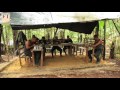 the last days inside a farc rebel camp ft world