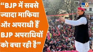 Akhilesh Yadav On Mafia: सबसे ज्यादा गुंडे माफिया BJP में हैं । अखिलेश यादव का जबरदस्त प्रहार