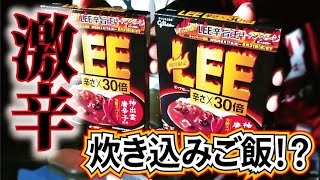 超激辛！LEE30倍で炊き込み御飯を作ったらこうなった！【飯盒】【キャンプ飯】