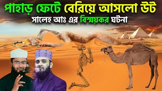 হযরত সালেহ আঃ এর বিস্ময়কর একটি ঘটনা | পাহাড় ফেটে বেরিয়ে আসলো উট | নতুন আজহারী | Abrarul Haque Asif