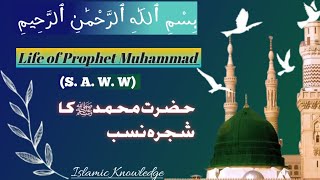 Life of Prophet Muhammad (S. SA. W. W) | Hazrat Muhammadﷺka shajra nasab