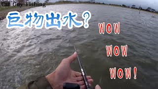 【路亞】2018/12/08巨物出水???【8-1】【新竹湖口】【釣魚】