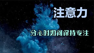 《注意力》成功的人都是一些平凡人，只是多了一份专注