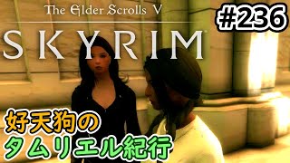 【SKYRIM】好天狗のタムリエル紀行  時の車輪【#236】