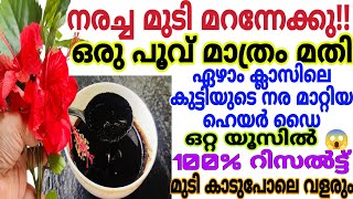 ഒരു പൂവ് മാത്രം മതി ഇനി ഡൈചെയ്യേണ്ട ഒരു സ്പൂൺ കലക്കി മുടിയിൽ തേക്കൂ നരച്ച മുടി ഒറ്റയൂസിൽകറുപ്പിക്കാം