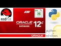 How to export CSV data from Oracle database using Python.