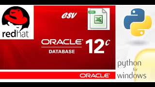 How to export CSV data from Oracle database using Python.