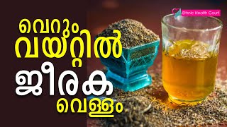 വെറും വയറ്റിൽ പെരുംജീരക വെള്ളം കുടിച്ചാൽ.!! | Ethnic Health Court