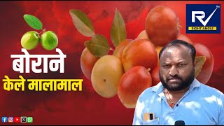 | RIGHT ANGLE | jujube farming | #Solapur बोरांच्या विक्रीतून सोलापूरचा शेतकरी लखपती |